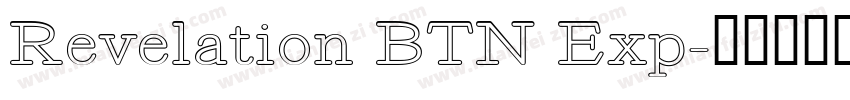 Revelation BTN Exp字体转换